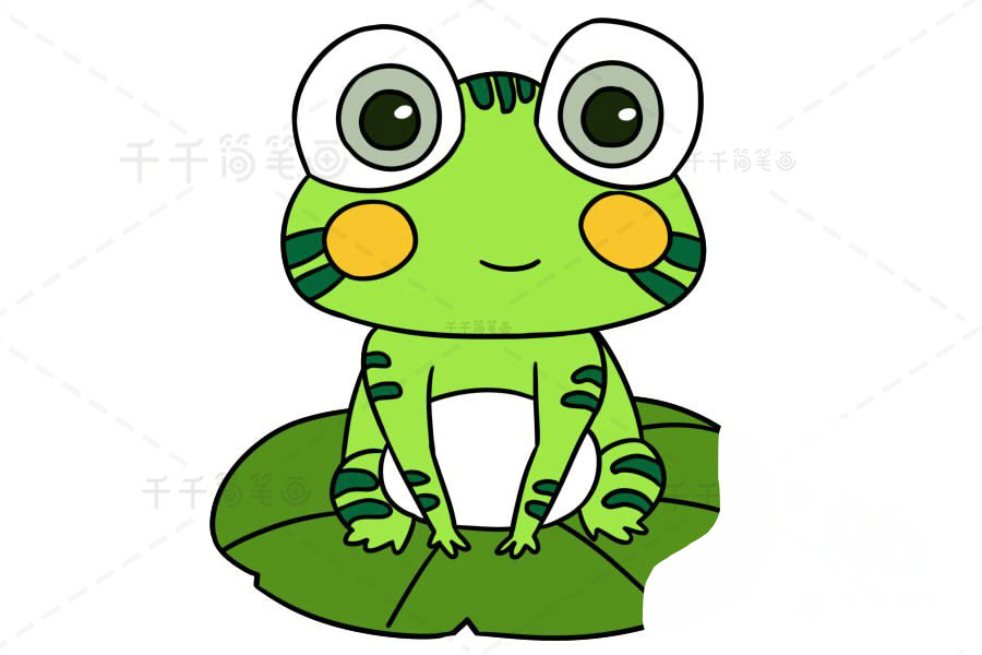 青蛙簡筆畫示例