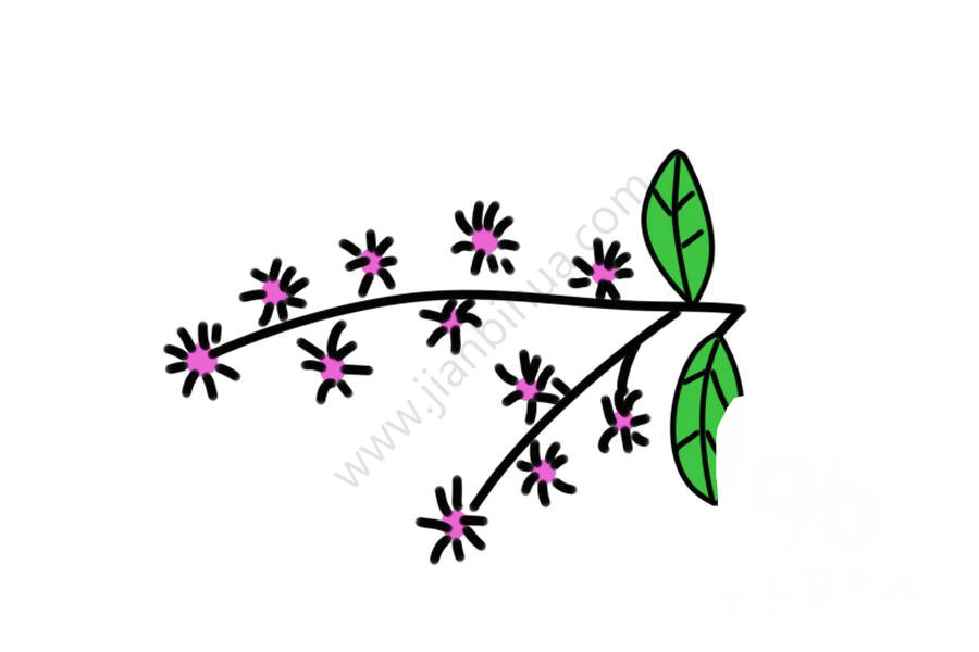 合歡花簡(jiǎn)筆畫(huà)圖片