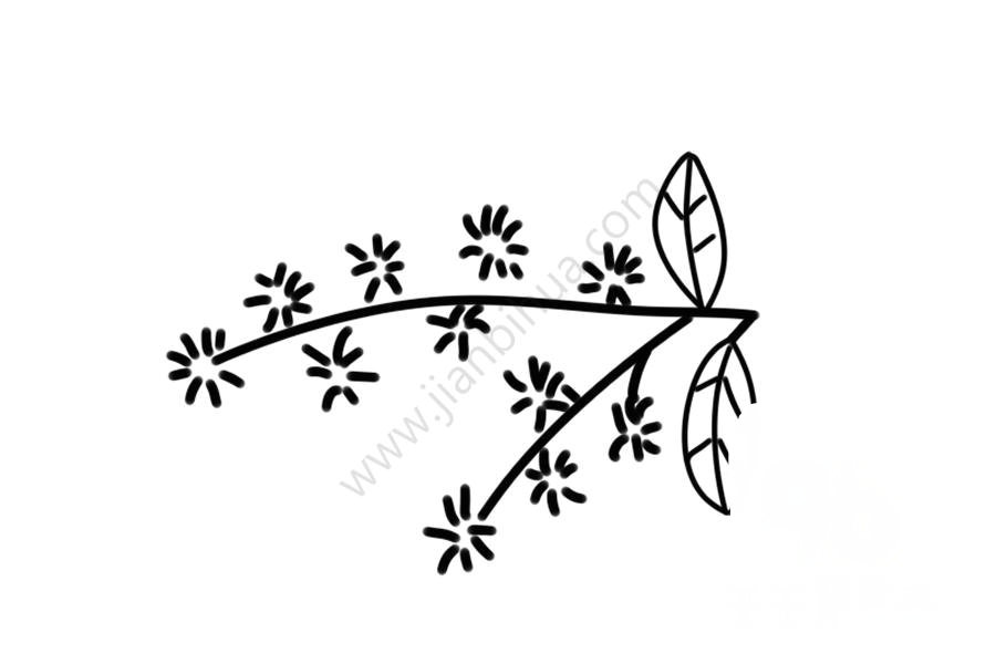合歡花簡(jiǎn)筆畫(huà)