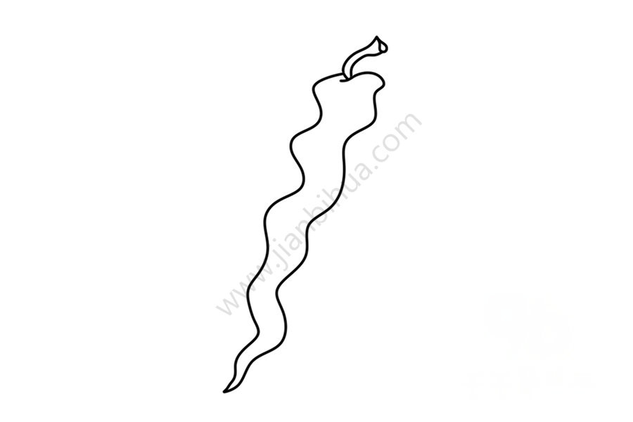 辣椒細節(jié)圖