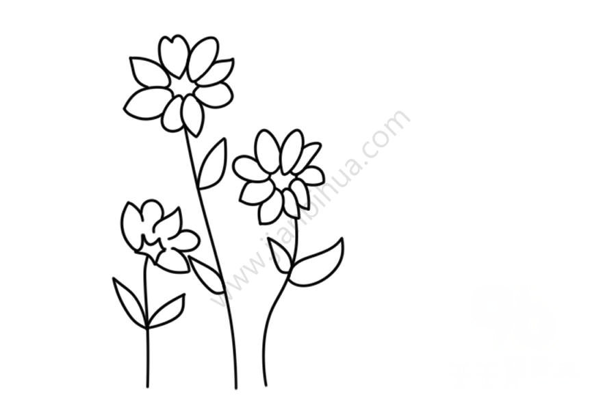 花朵簡筆涂色畫