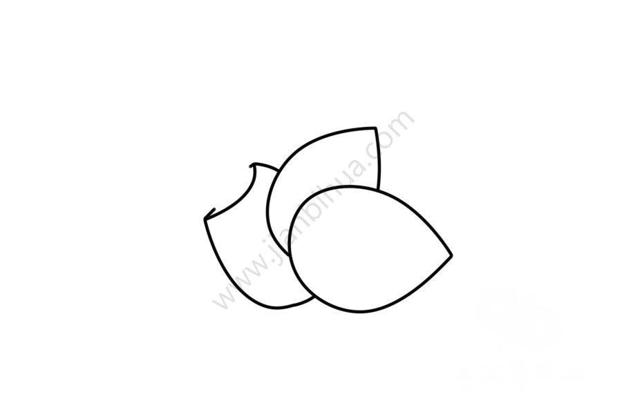 杏仁簡(jiǎn)筆畫教程3