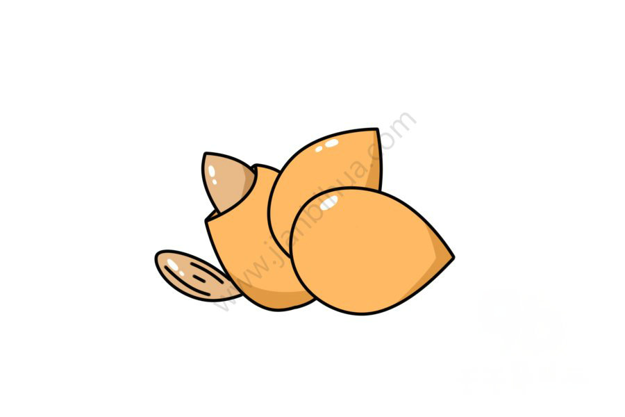 杏仁簡(jiǎn)筆畫教程1