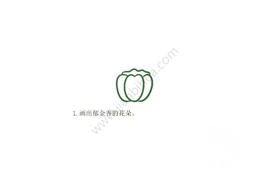郁金香花瓣繪制步驟