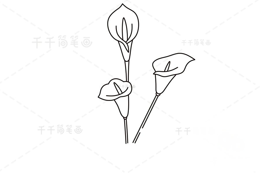 畫第三朵馬蹄蓮