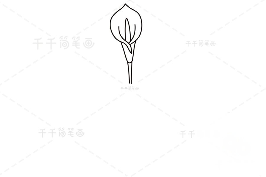 畫馬蹄蓮花朵