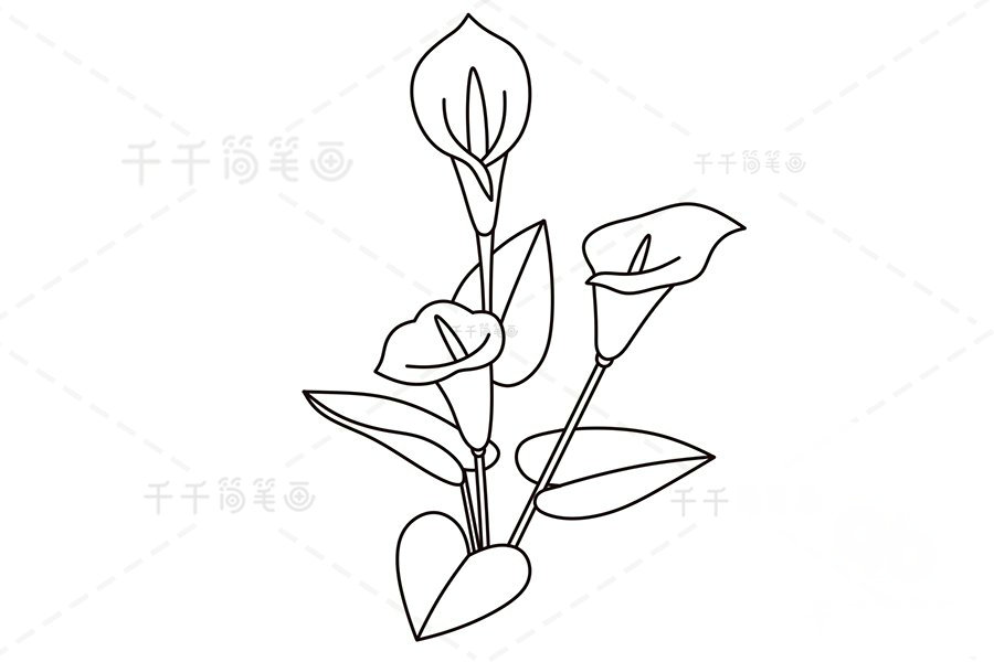 馬蹄蓮葉子完成