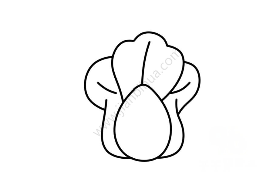 白菜簡(jiǎn)筆畫上色