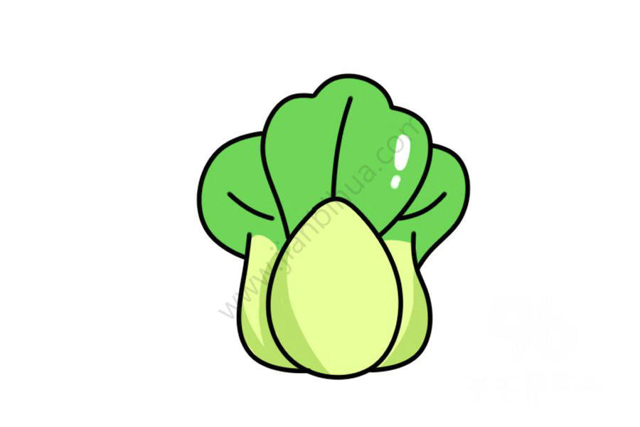 白菜簡(jiǎn)筆畫輪廓