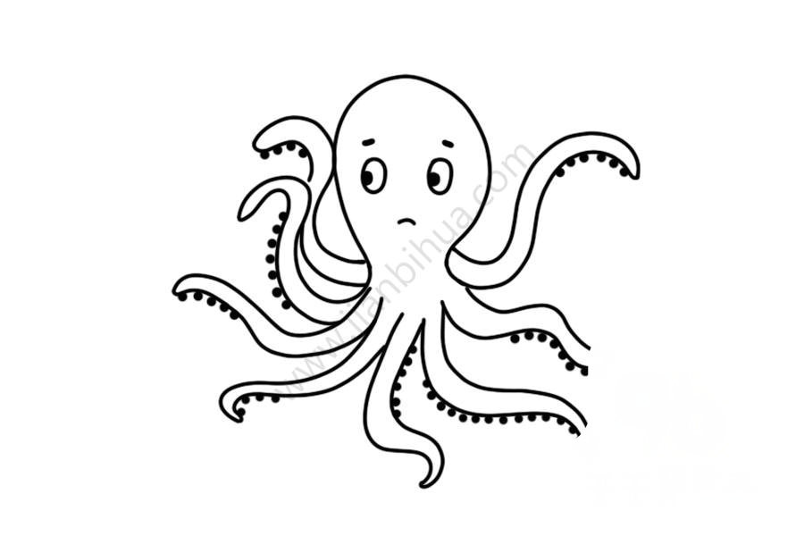 章魚簡筆畫完善細(xì)節(jié)