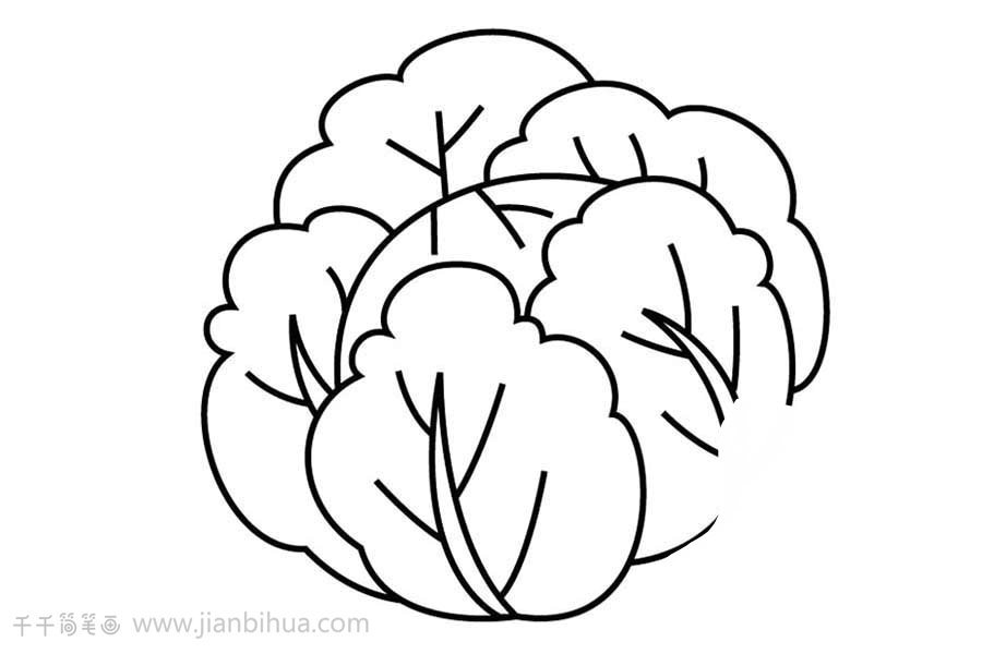 白菜簡易圖畫示例