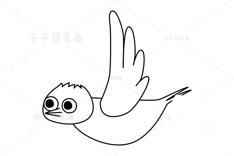 牙簽鳥的翅膀和身體