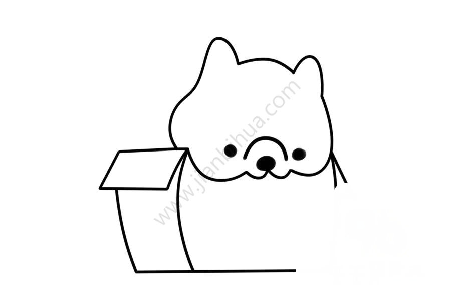 小狗的身體
