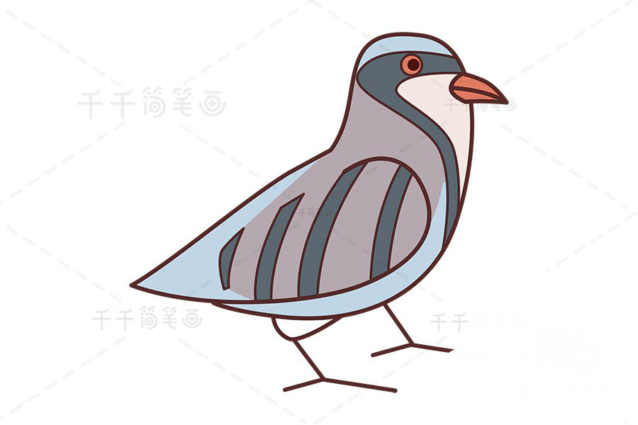 石雞簡筆畫示例