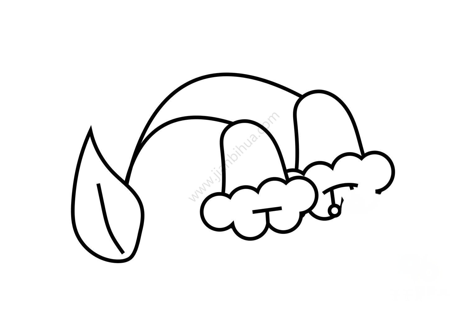輕松學(xué)鈴蘭花簡筆畫