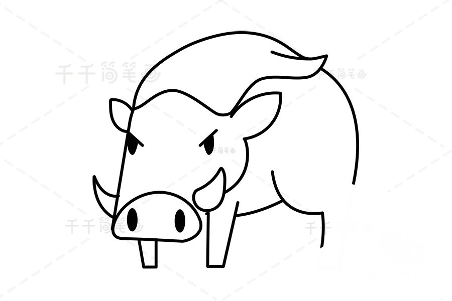 庫班豬簡筆畫第三步