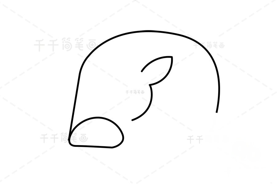 庫班豬簡筆畫第一步