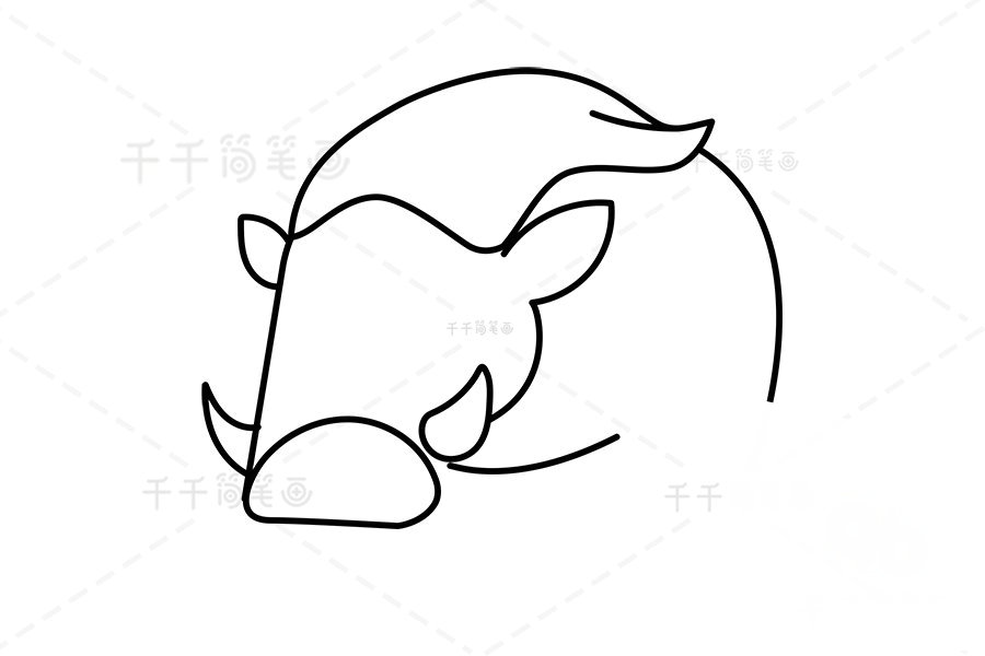 庫班豬簡筆畫第二步
