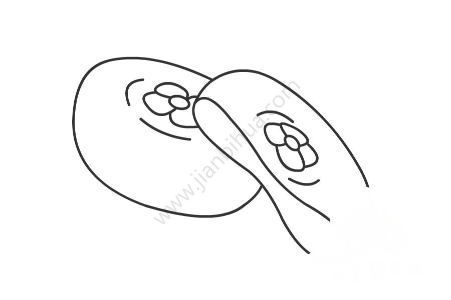 柿餅圖片簡(jiǎn)筆畫，柿餅可愛簡(jiǎn)筆畫，柿餅簡(jiǎn)筆畫圖片大全，柿餅簡(jiǎn)筆畫怎么畫