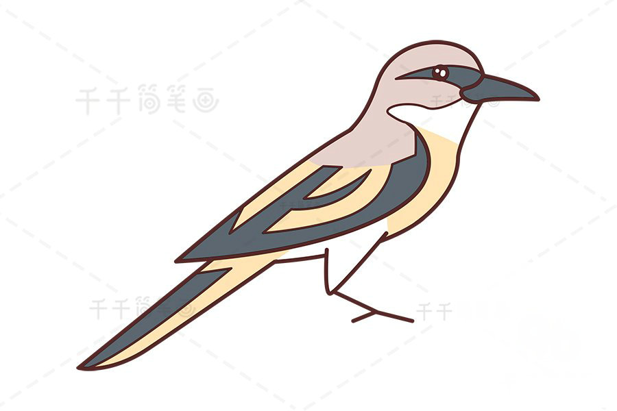 山椒鳥(niǎo)簡(jiǎn)筆畫(huà)