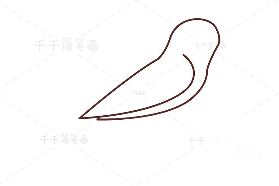 山椒鳥(niǎo)簡(jiǎn)筆畫(huà)第一步