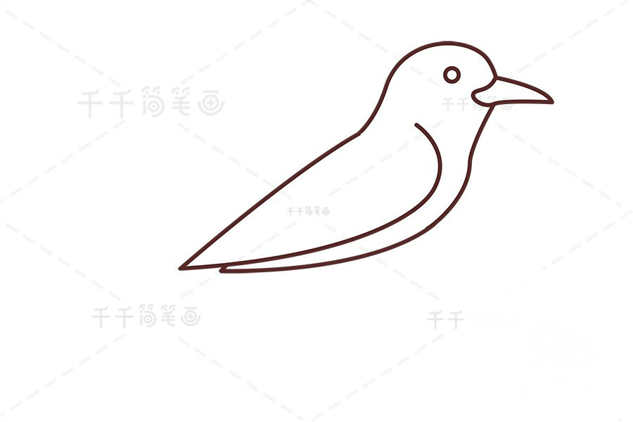 山椒鳥(niǎo)簡(jiǎn)筆畫(huà)第二步