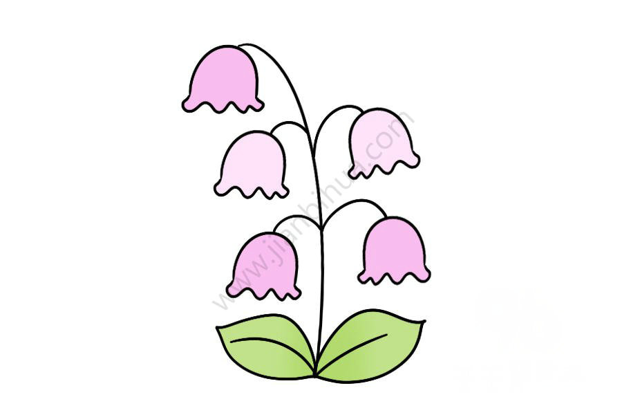 風(fēng)鈴花簡筆畫