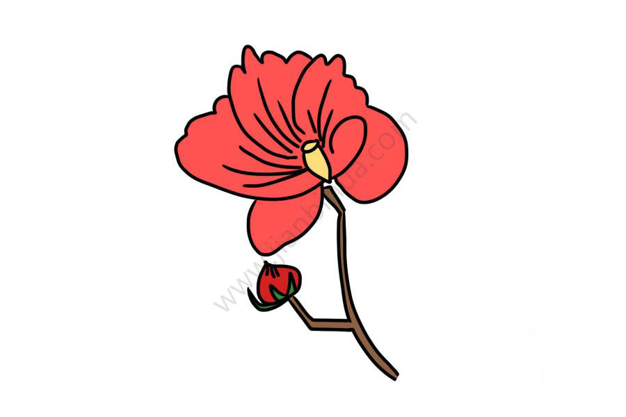 蜀葵簡筆畫圖片