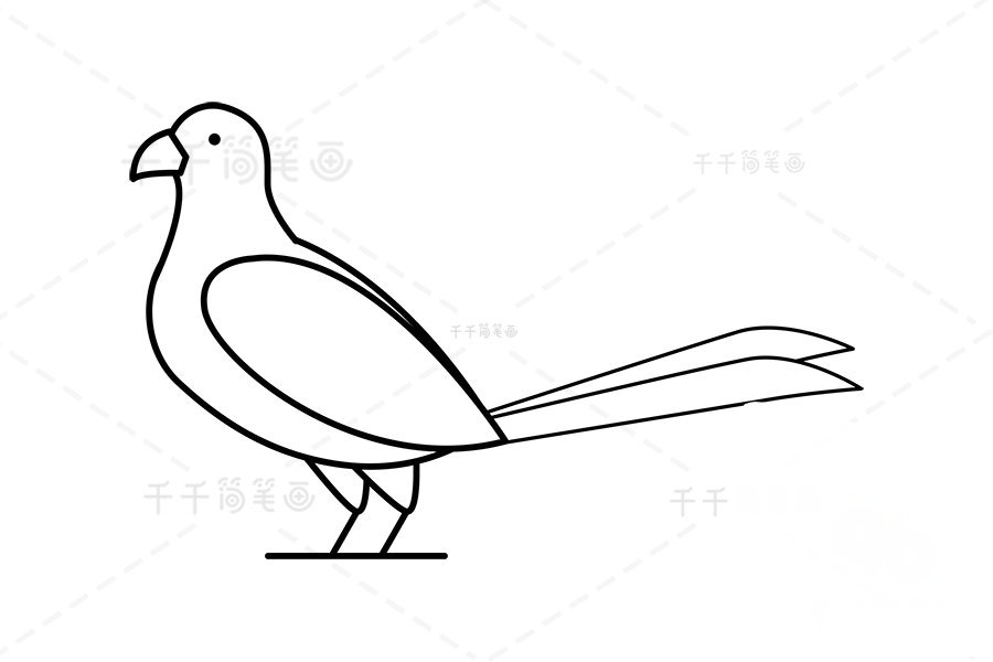 山雞尾巴和雙腳