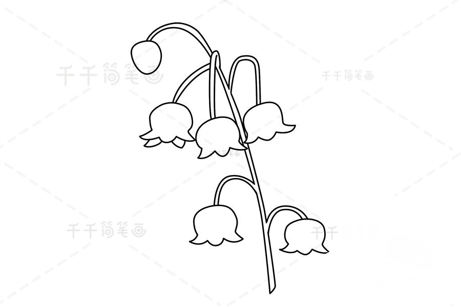 風(fēng)鈴草簡(jiǎn)筆畫上色