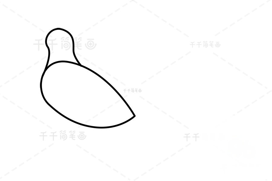 山雞頭部和身體