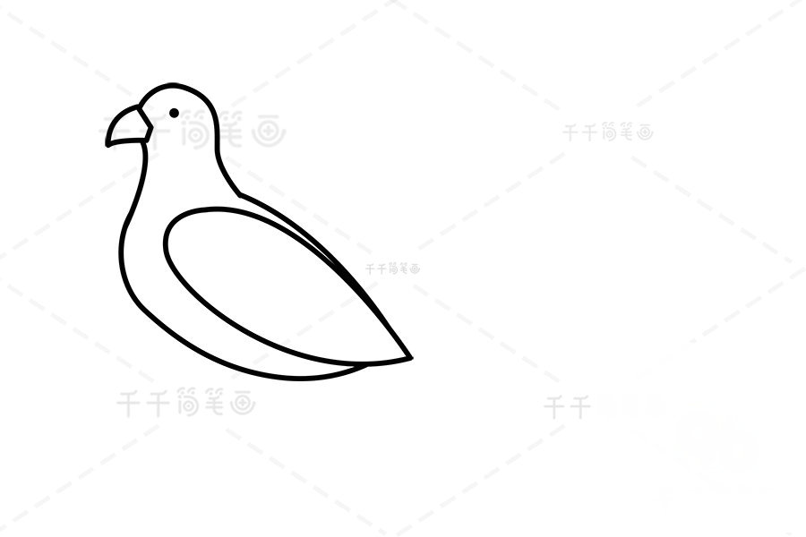 山雞眼睛、嘴巴和翅膀