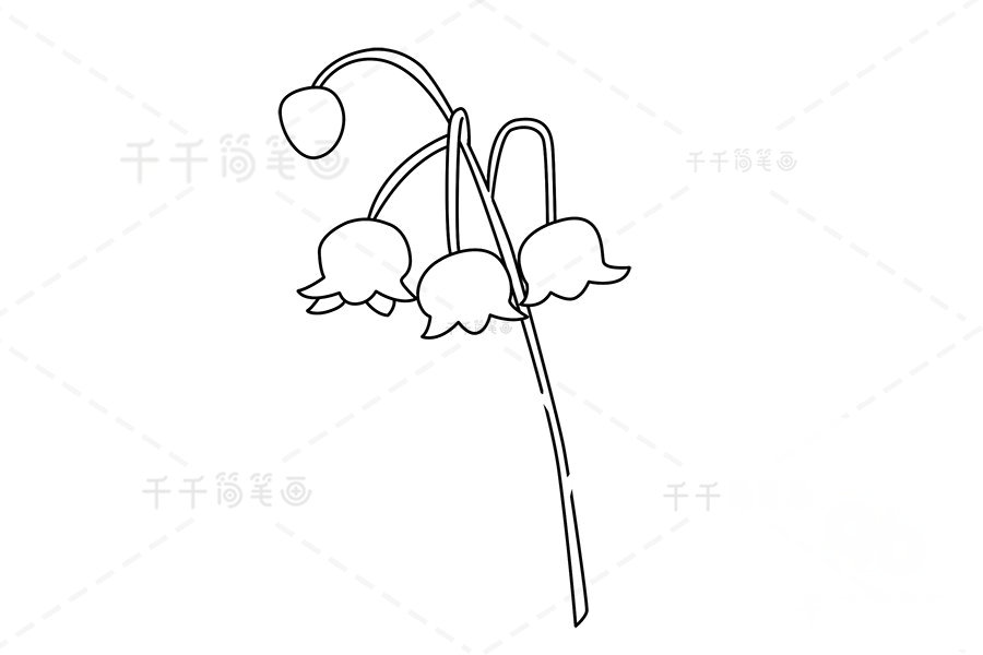 風(fēng)鈴草簡(jiǎn)筆畫莖和葉
