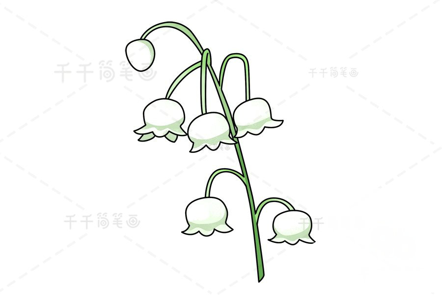 風(fēng)鈴草