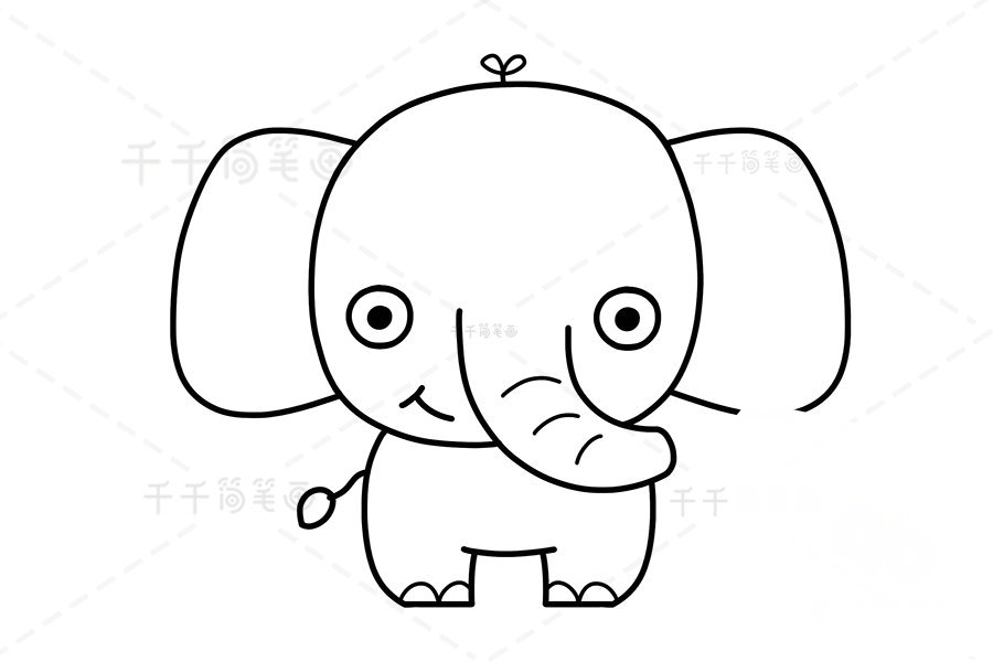 大象尾巴