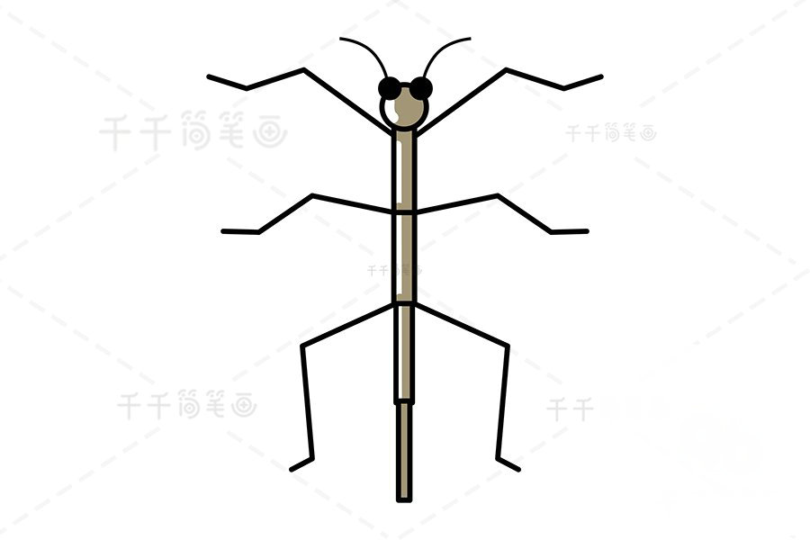 竹節(jié)蟲簡筆畫