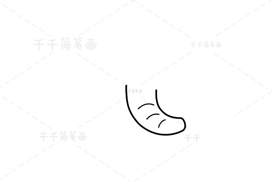 大象耳朵