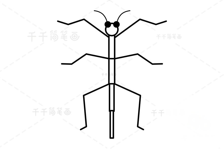 竹節(jié)蟲觸角