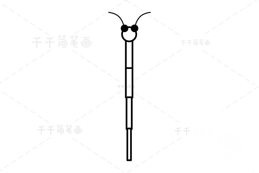竹節(jié)蟲頭部