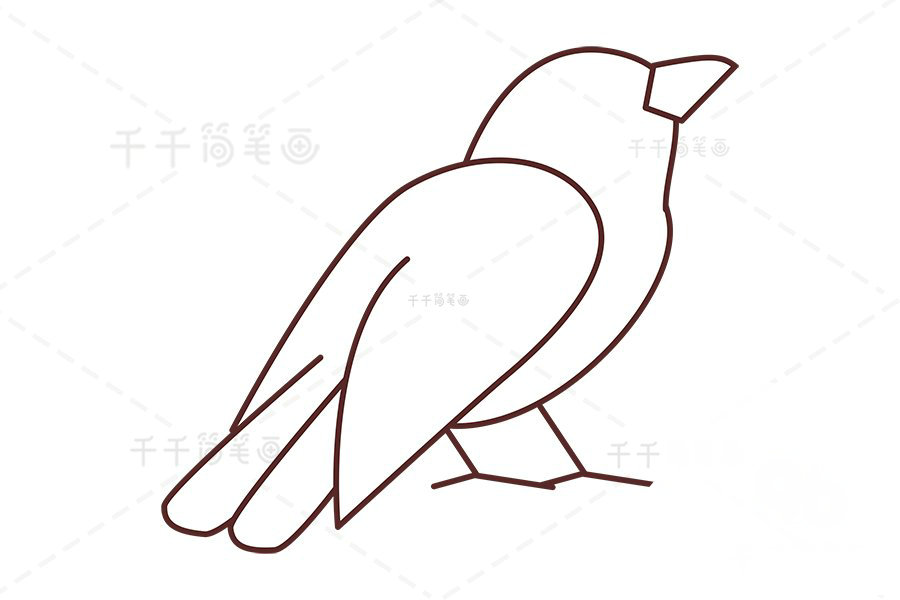 白頭鵯尾巴與腿腳繪制