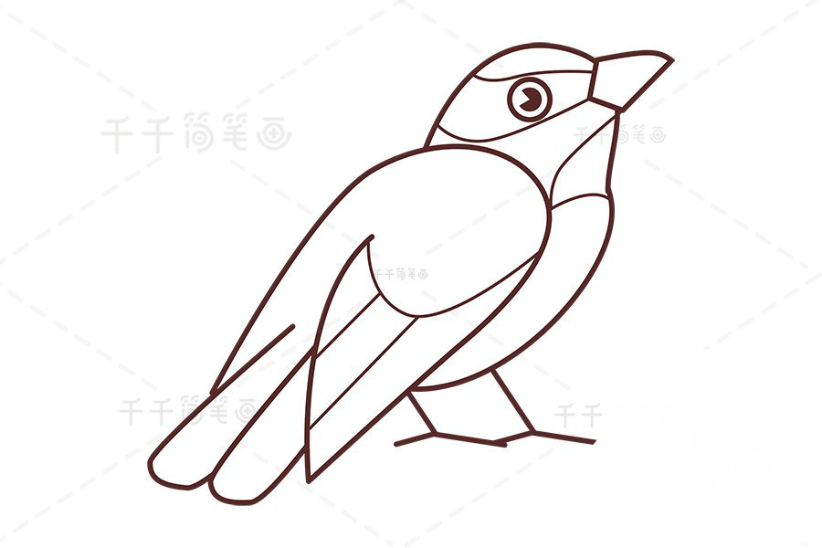 白頭鵯眼睛繪制
