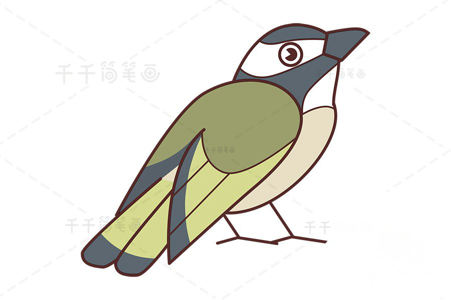 白頭鵯簡筆畫