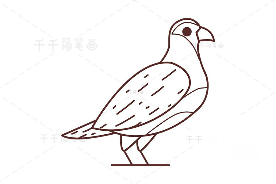 山鶉翅膀斑紋