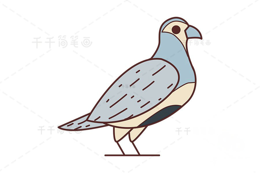 山鶉簡筆畫