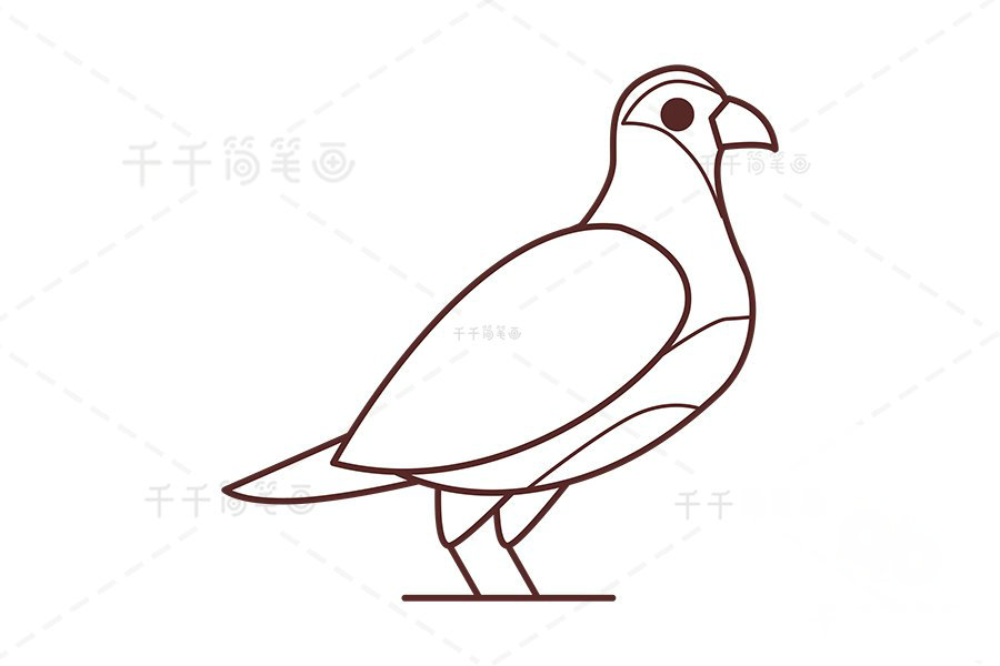 山鶉身體斑紋