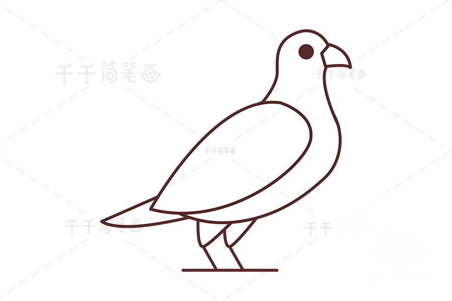 山鶉尾巴和爪子