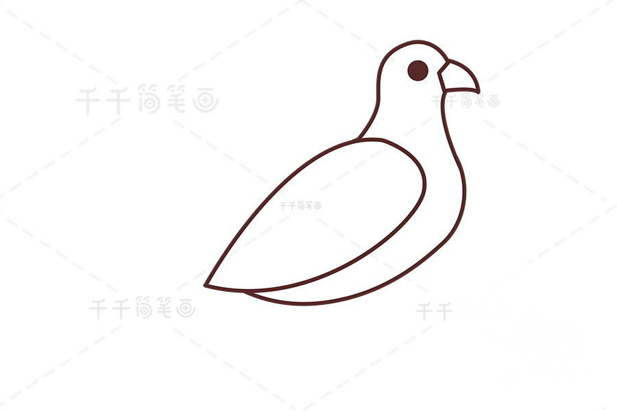 山鶉頭部