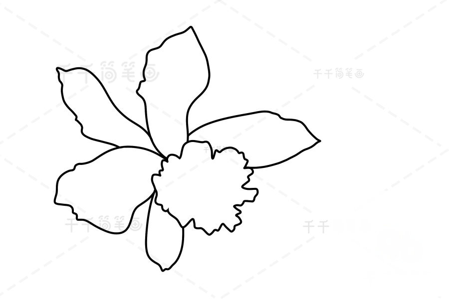 黃日光蘭簡(jiǎn)筆畫示范