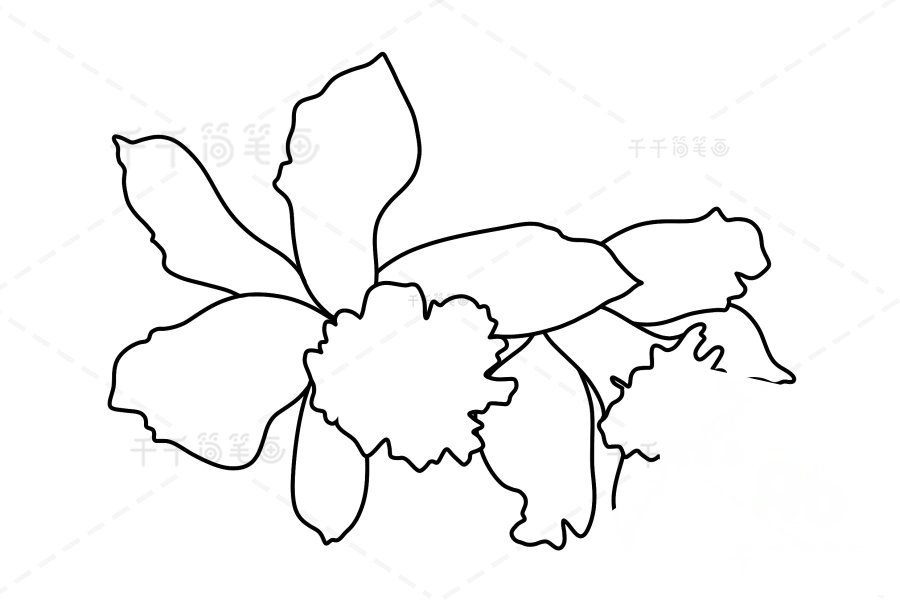 兒童黃日光蘭簡(jiǎn)筆畫