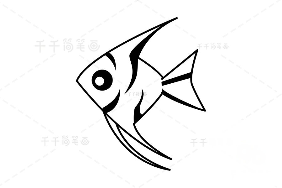 畫(huà)神仙魚(yú)的身體紋路